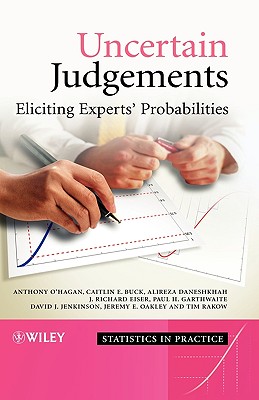 Uncertain Judgements - Eliciting