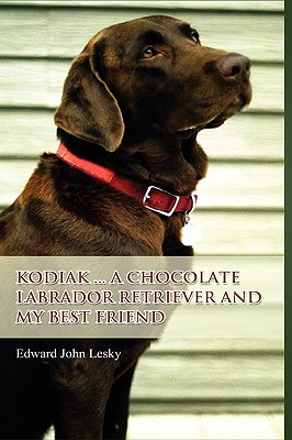 Kodiak ... a Chocolate Labrado