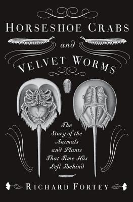 Horseshoe Crabs and Velvet Worms: The