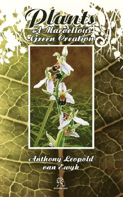 Plants: A Marvellous G