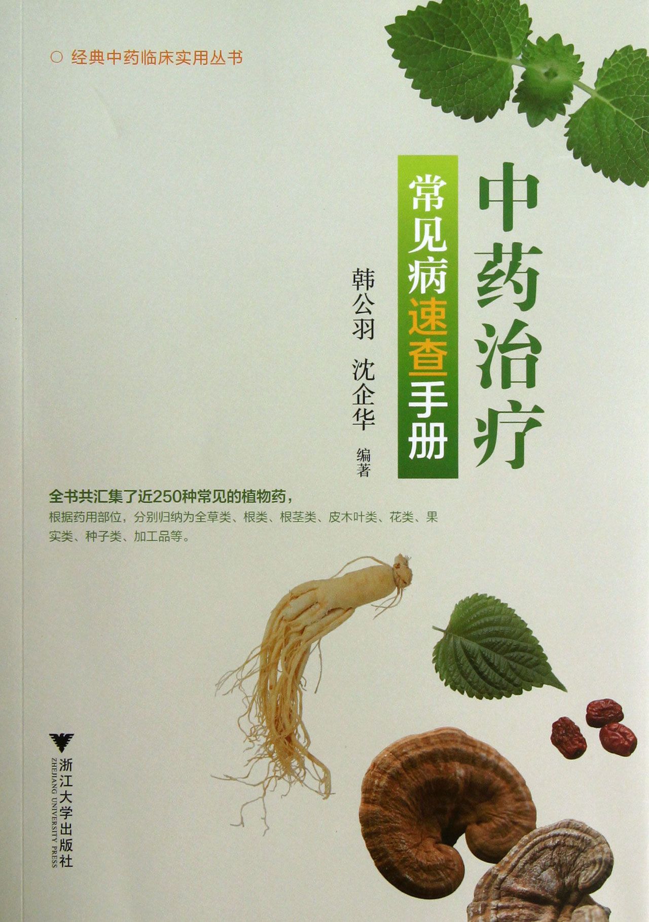 *治疗常见病速查手册/经典*临床实用丛书
