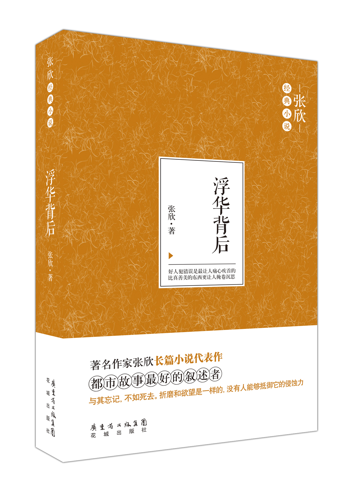 浮华背后9787536069312