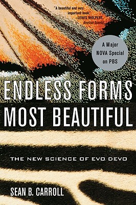 Endless Forms Most Beautiful: The New