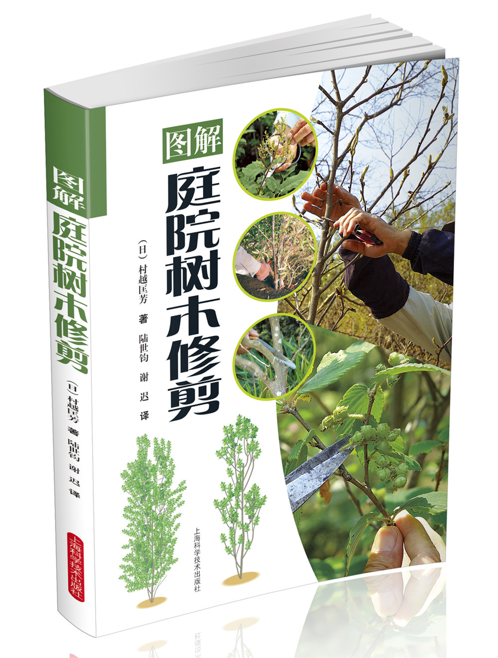图解庭院树木修剪