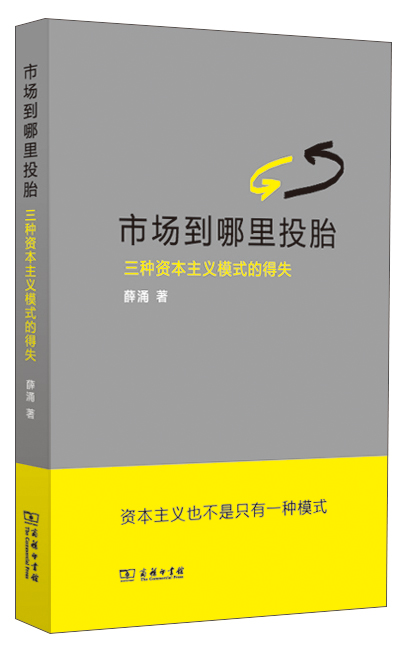 市场到哪里投胎:三种资本主义模式的得失9787100100823 9787100100823