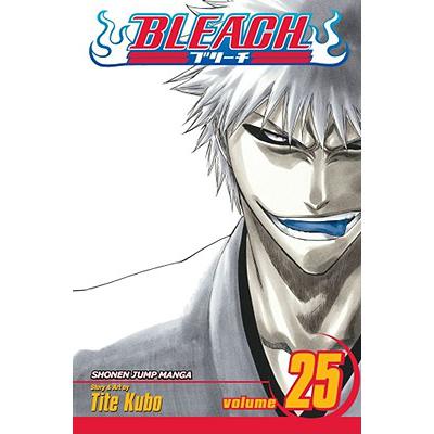 预订 Bleach, Vol. 25: Volume 25