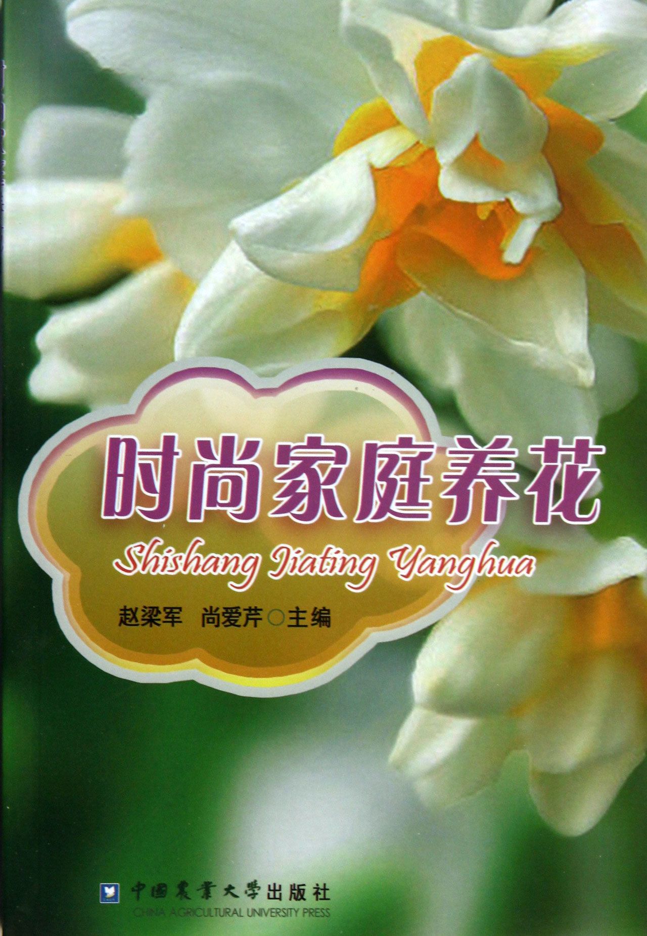 时尚家庭养花