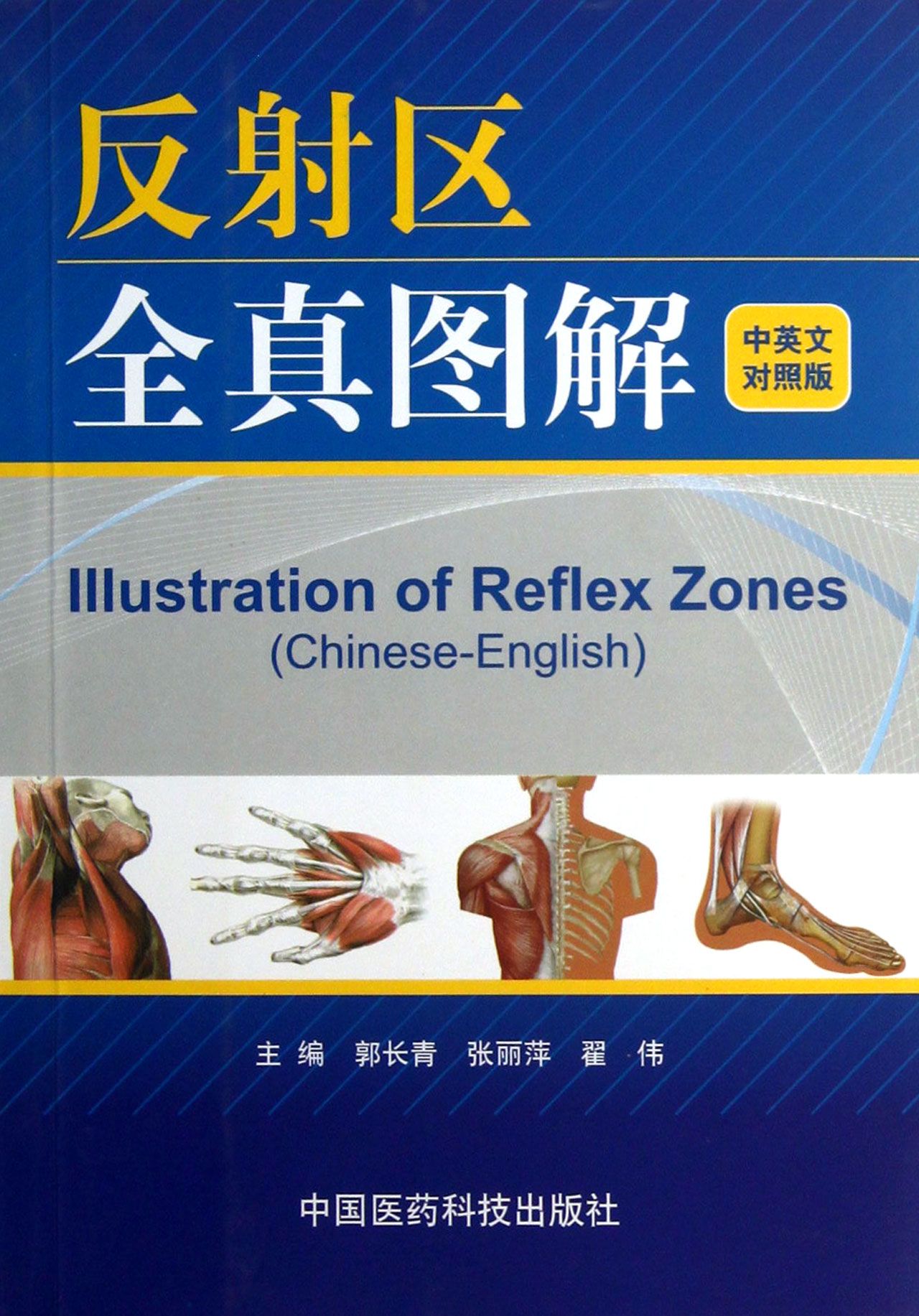 反射区全真图解(中英文对照版)