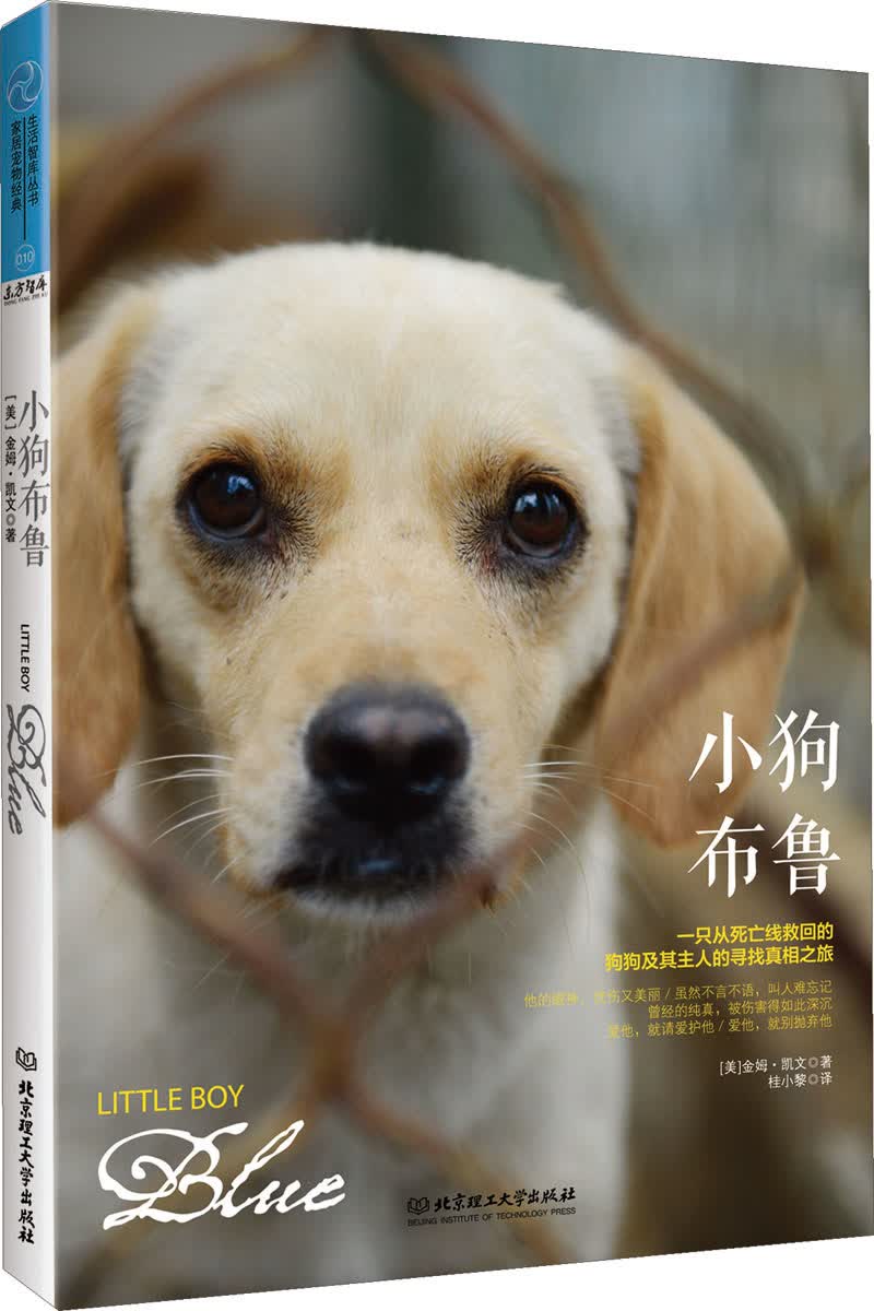 正版现货 小狗布鲁9787564085889北京理工