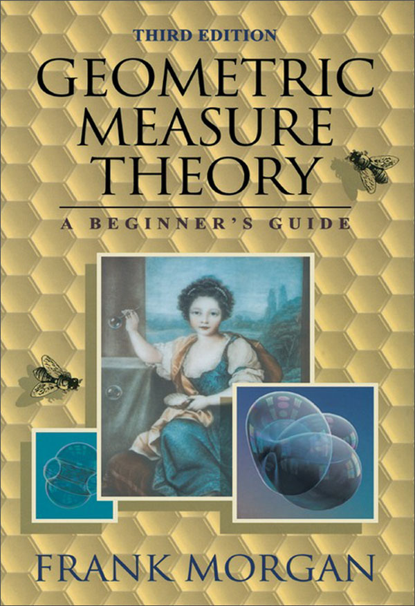 geometric measure theory, a beginners guide