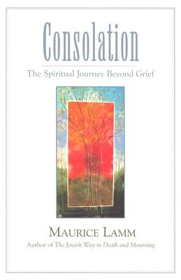 【预订】consolation: the spiritual jour