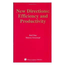 New Directions: Efficiency an