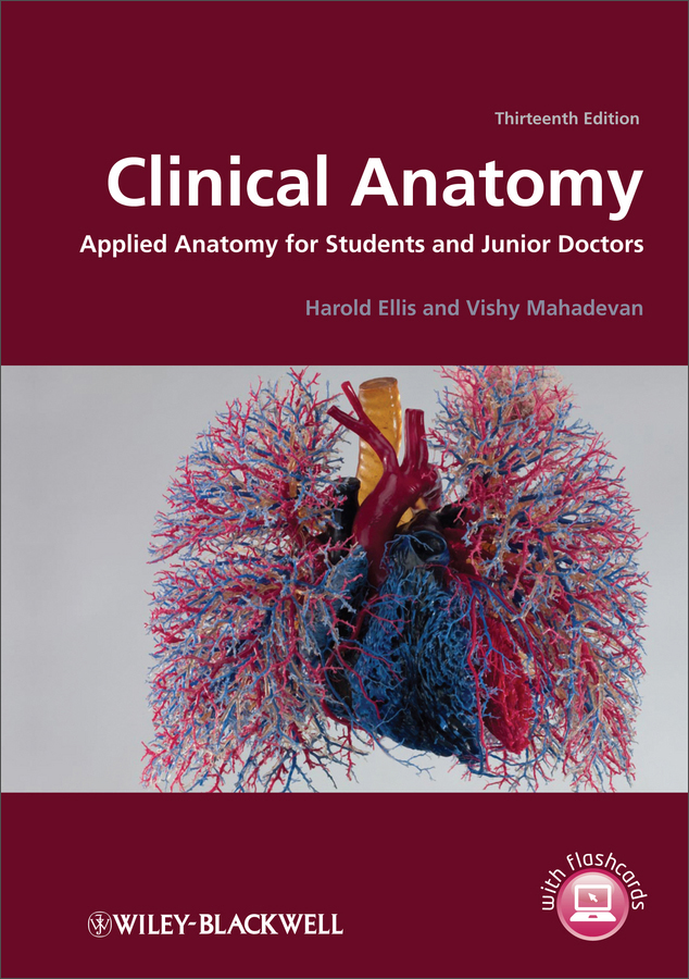 clinical anatomy - applied anatomy for students and junior