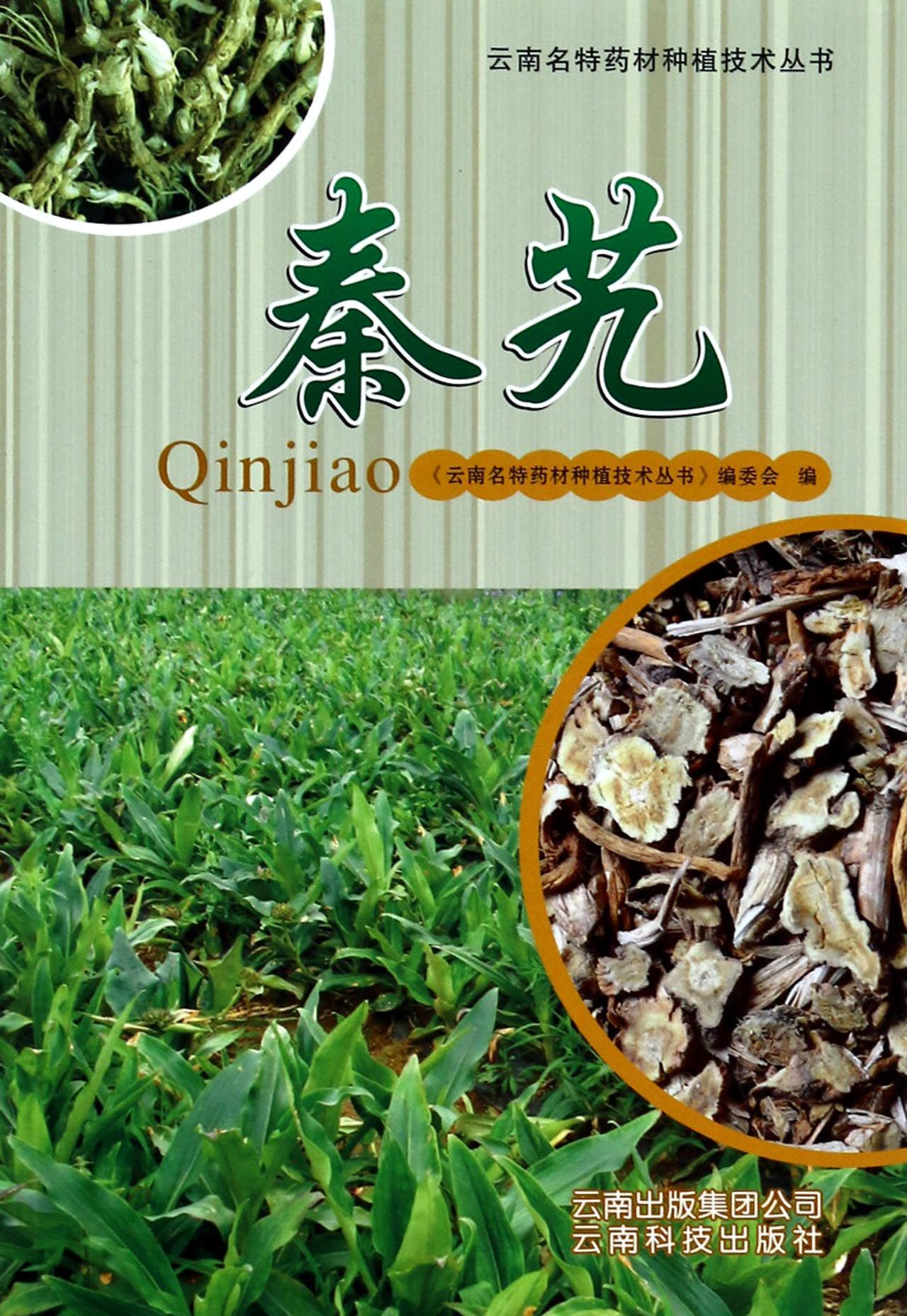 秦艽/云南名特药材种植技术丛书