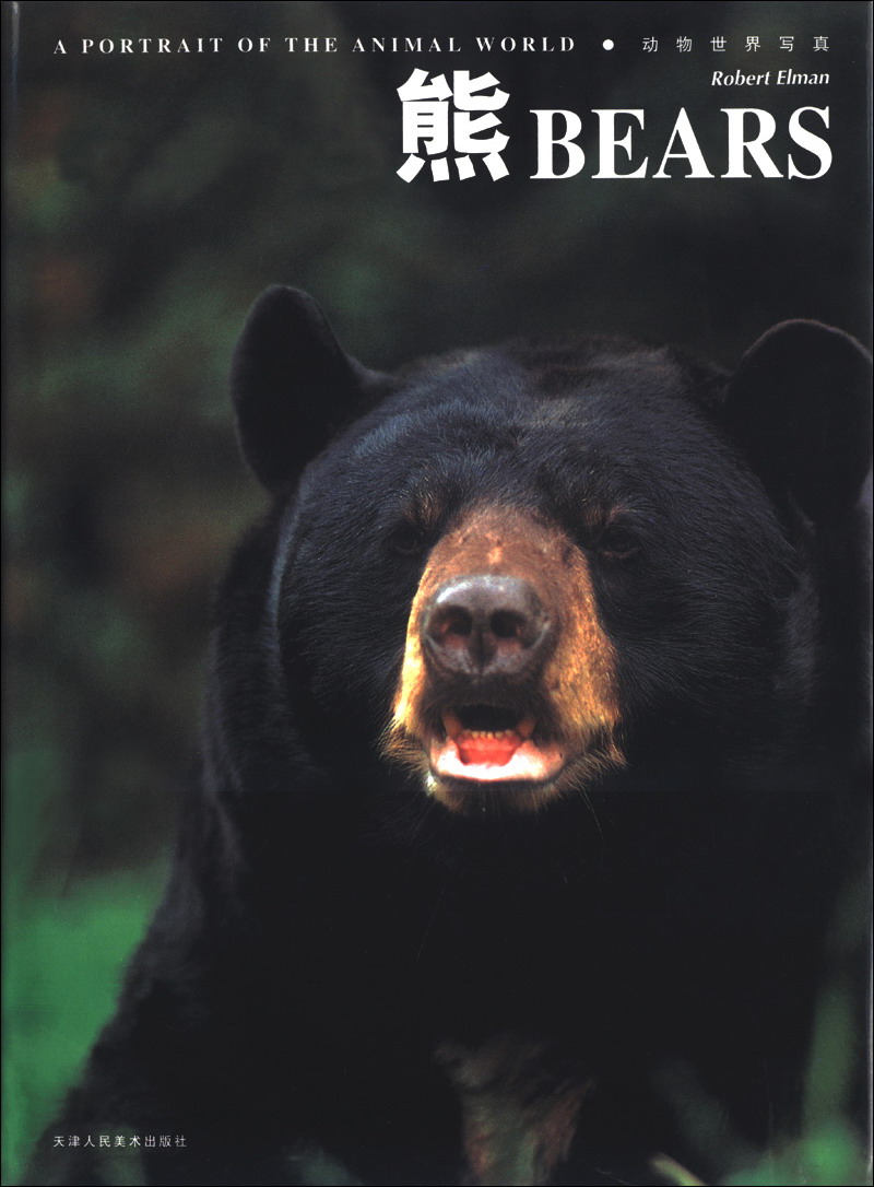 动物世界写真:熊