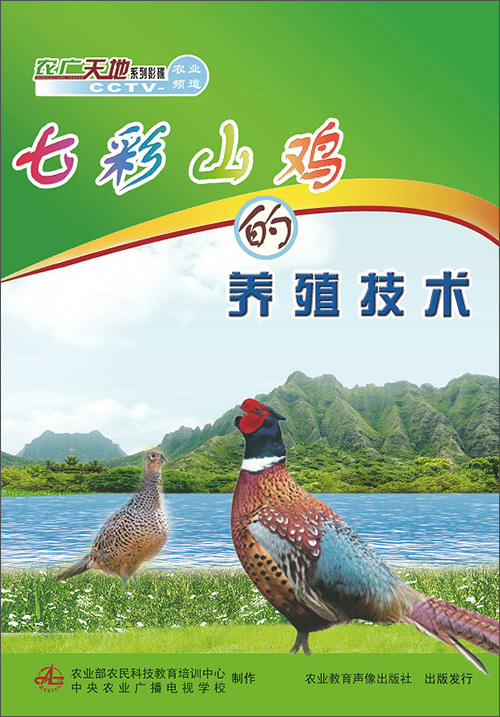 七彩山鸡的养殖技术（DVD）
