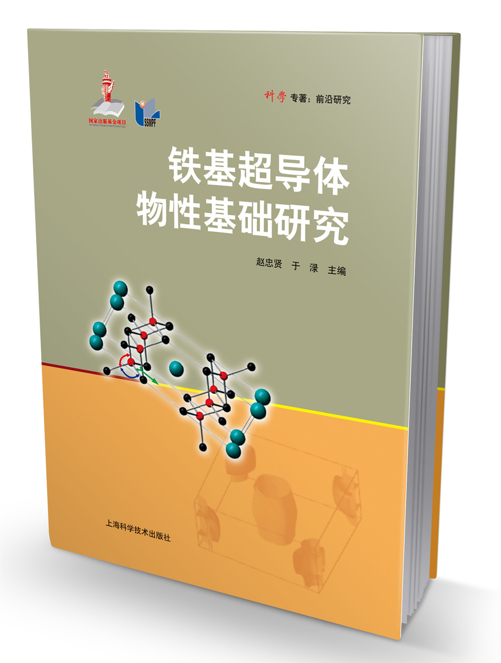 科学专著·前沿研究：铁基超导体物性基础研究