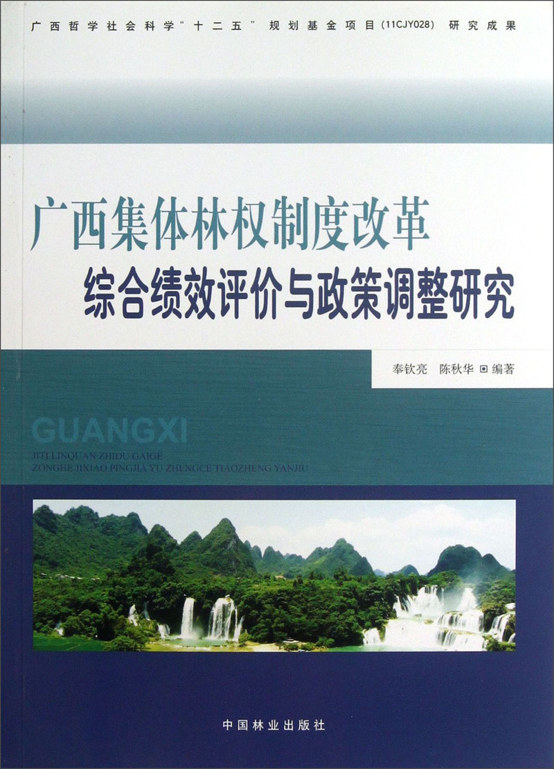 广西集体林权制度改革综合绩效评价与政策调整研究