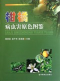 柑橘病虫害原色图鉴(精)