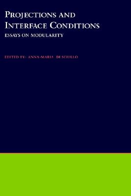 【预订】projections and interface conditions