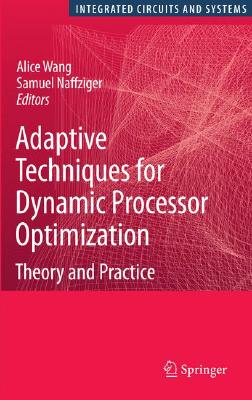 Adaptive Techniques for Dynami