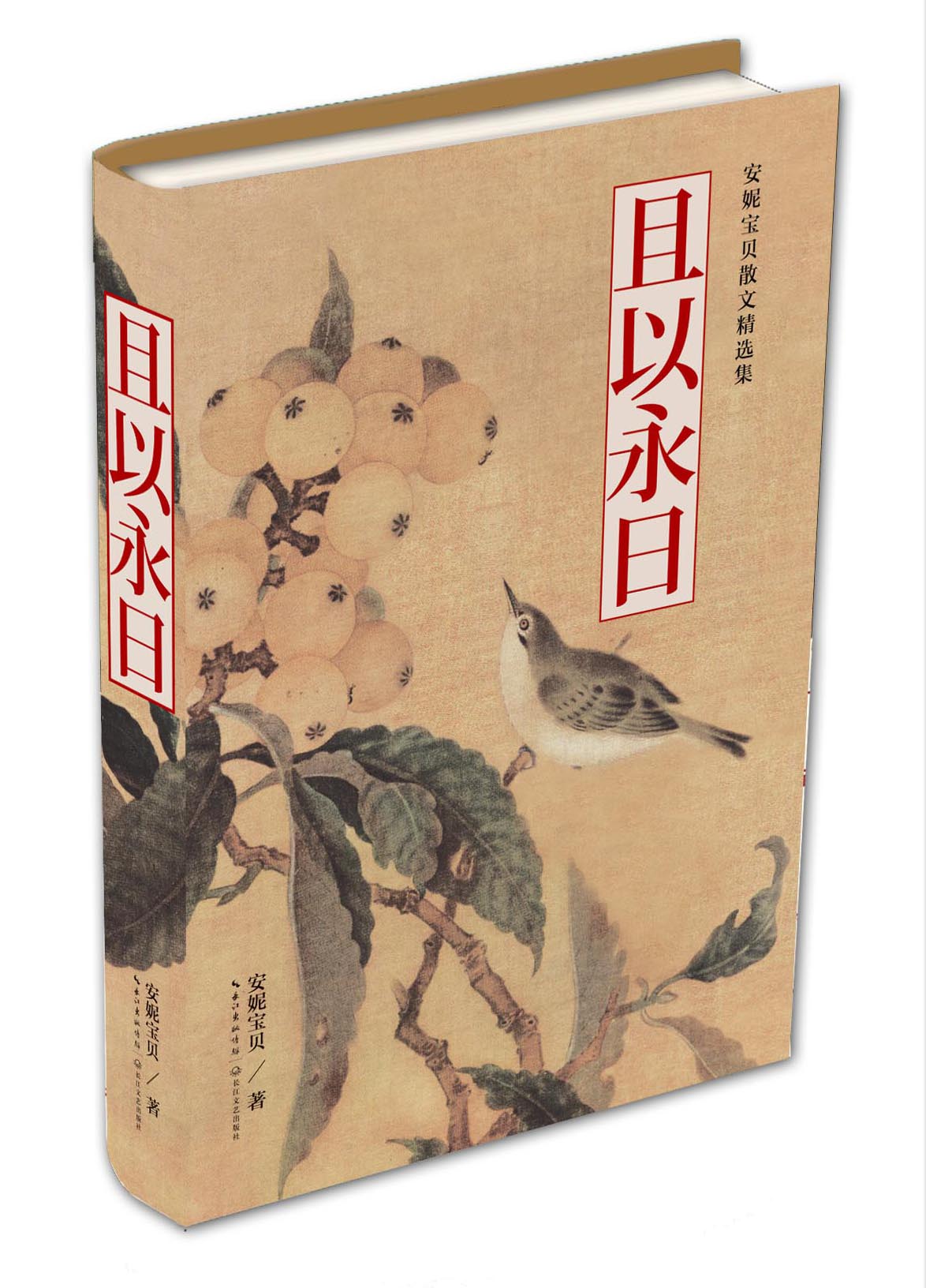 安妮宝贝散文精选集:且以永日