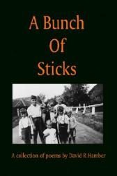 【预订】a bunch of sticks