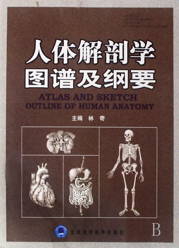 人体解剖学图谱及纲要