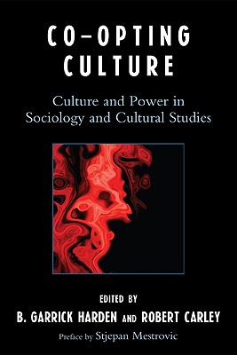 【预订】co-opting culture: culture and power in