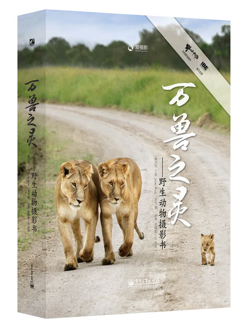 万兽之灵：野生动物摄影书（精装版 全彩）