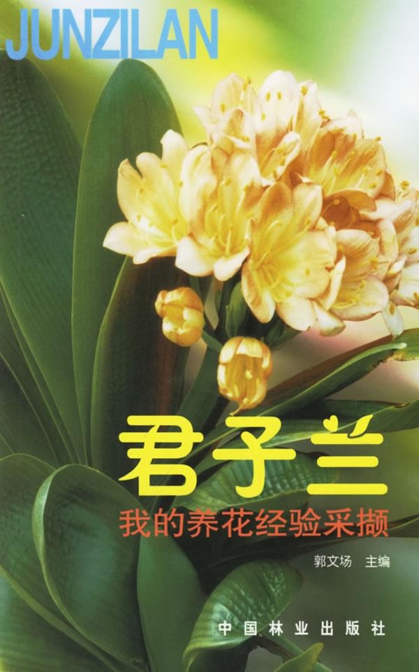 君子兰：我的养花经验采撷
