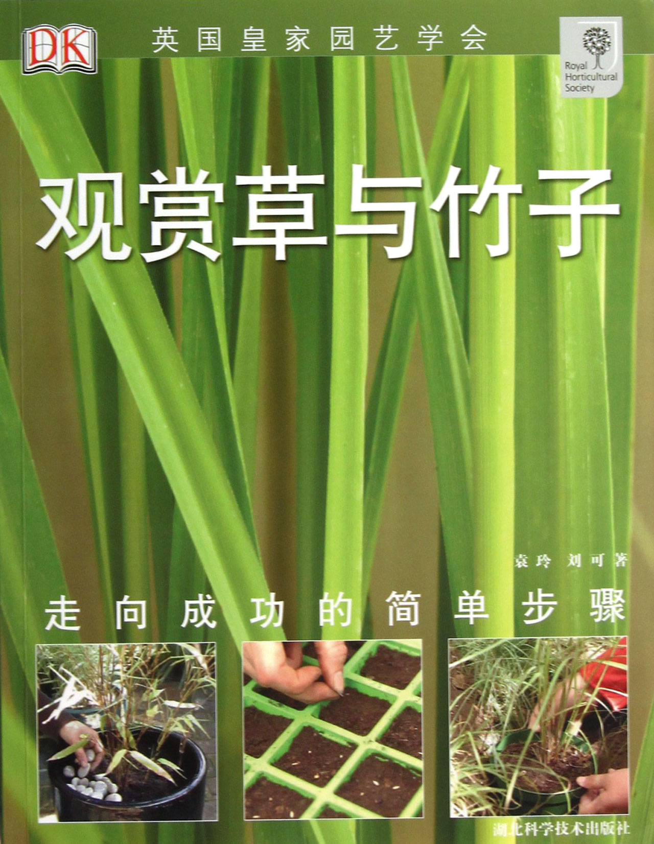 观赏草与竹子(走向成功的简单步骤)