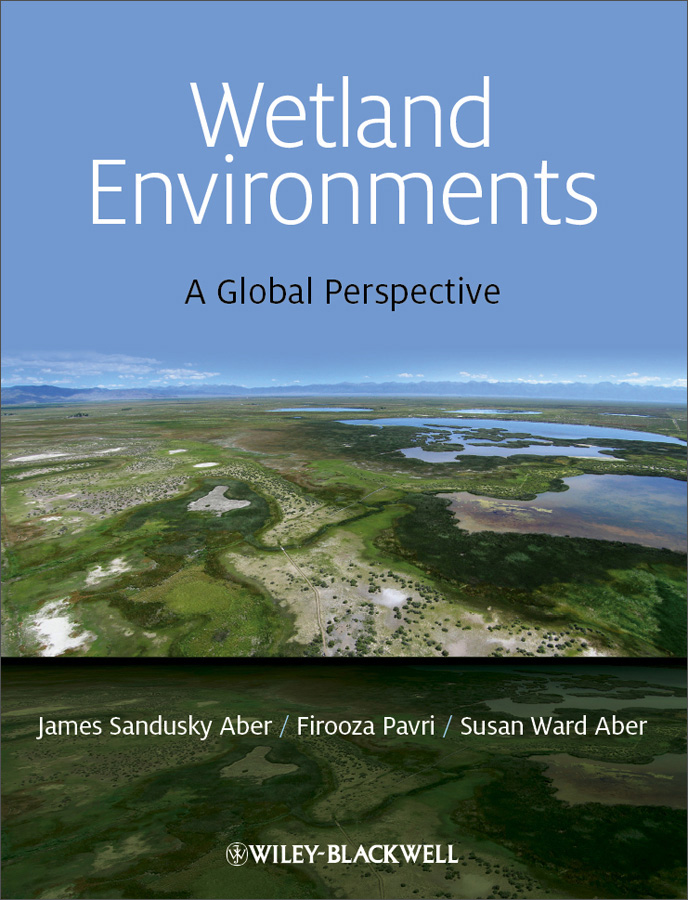 wetland environments: a global perspective