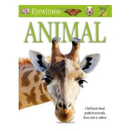 animal