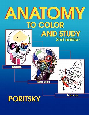 Anatomy to Color and Study 2