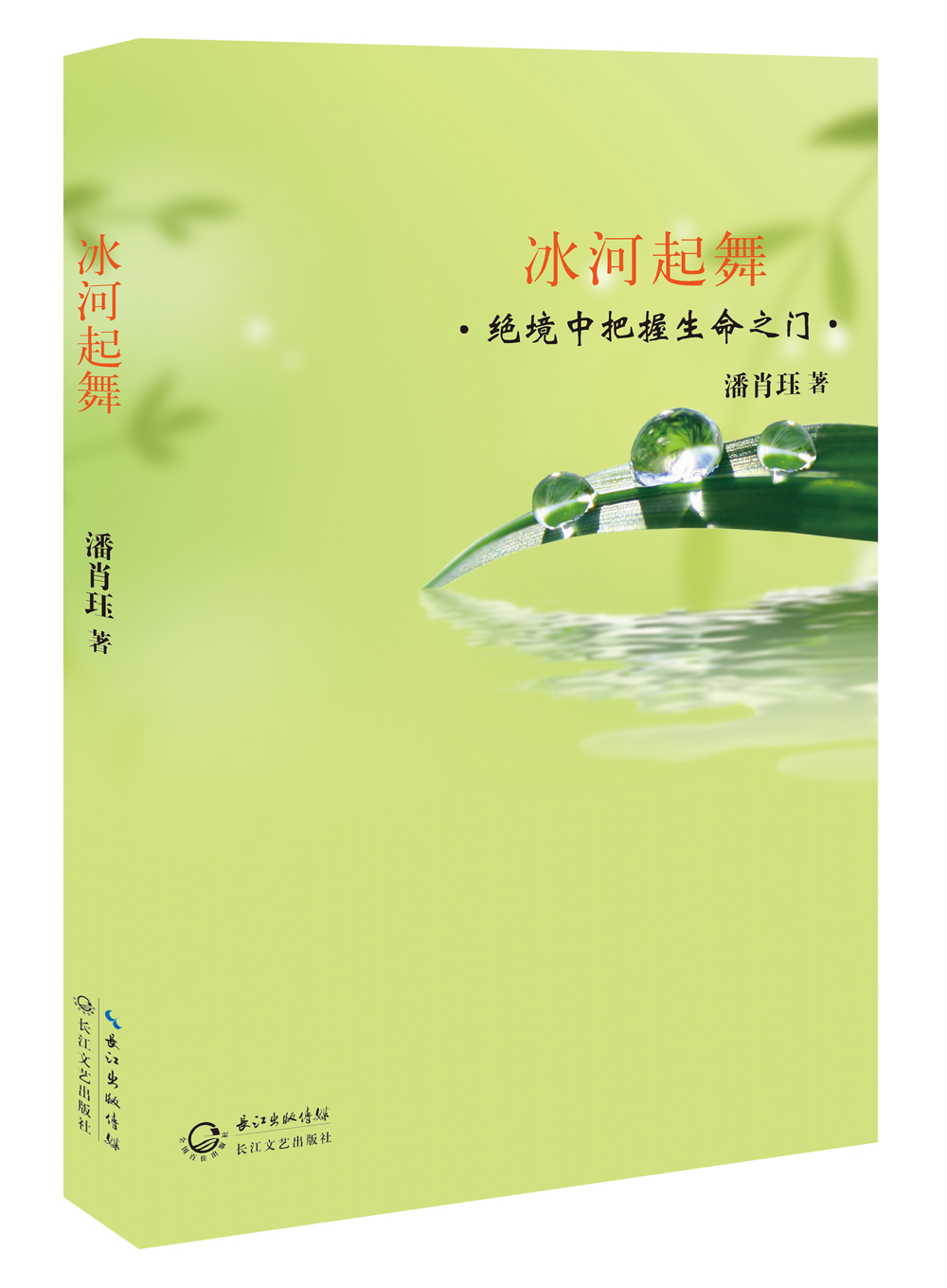 冰河起舞:绝境中把握生命之门