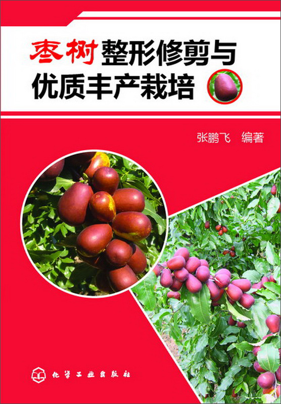 枣树整形修剪与优质丰产栽培