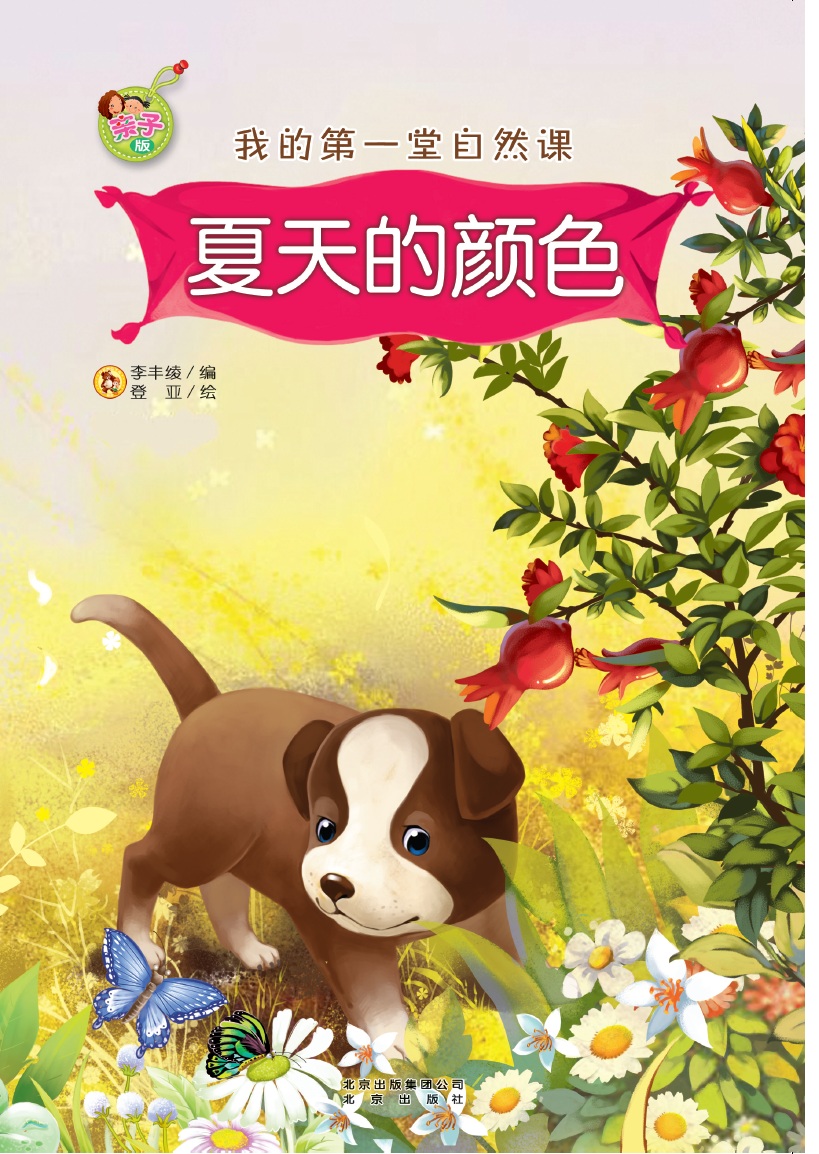 夏天的颜色