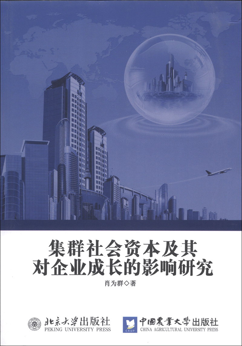 集群社会资本及其对企业成长的影响研究