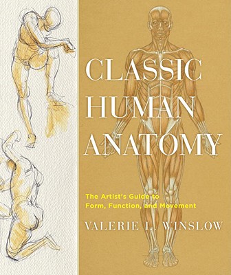 Classic Human Anatomy: The Artist's Guide to Form， Function， and Movement 英文原版