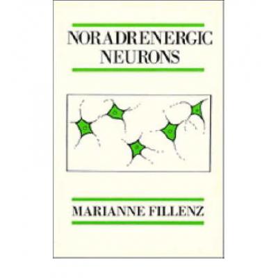 预订 Noradrenergic Neurons