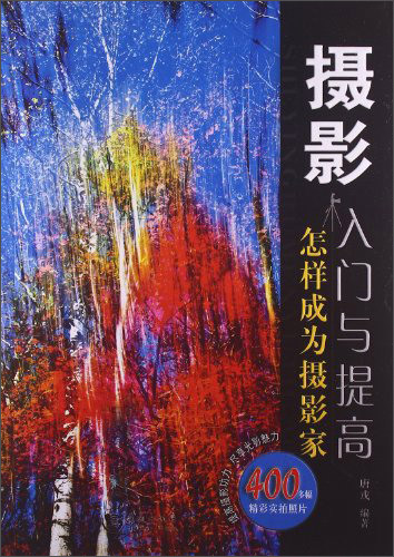 摄影入门与提高:怎样成为摄影家(四色铜版