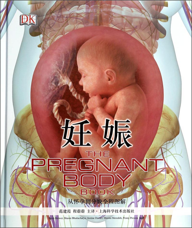 妊娠：从怀孕到分娩全程图解