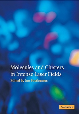 Molecules and Clusters in Intense Laser