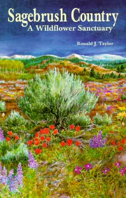 Sagebrush Country: A Wildflowe
