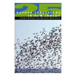 25 Nature Spectacles in New