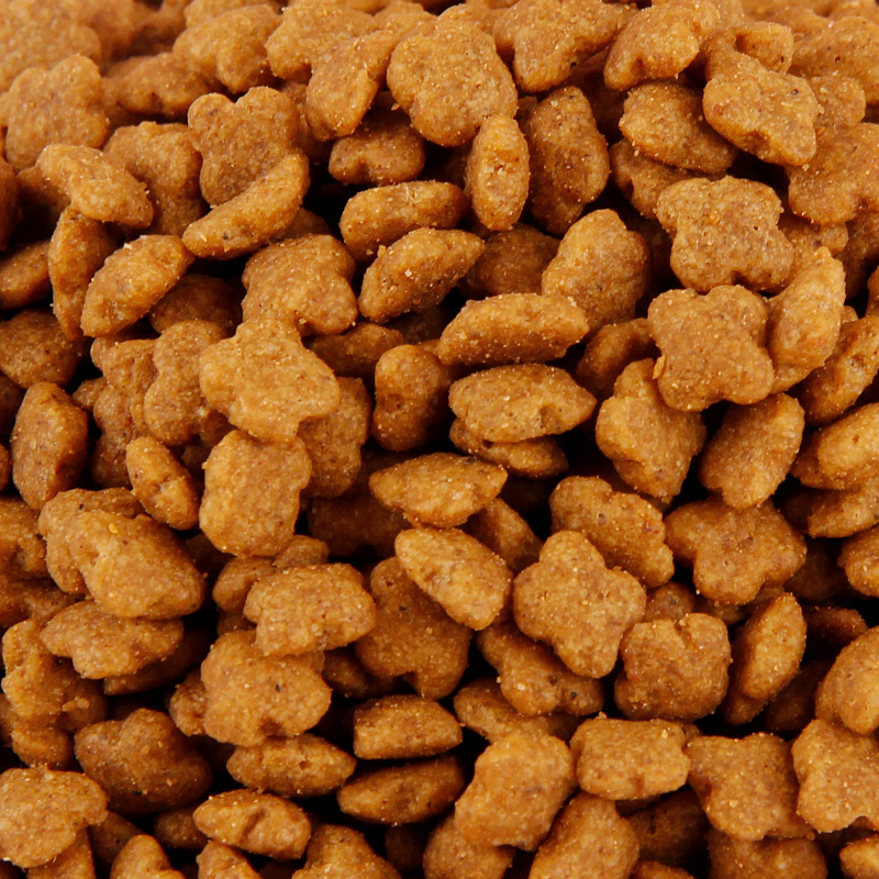 皇家孕猫营养猫粮