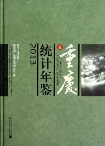 重庆统计年鉴2013（附光盘）
