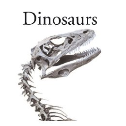 Encyclopedia of Birds
