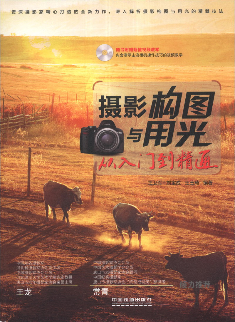摄影构图与用光从入门到精通（附光盘1张）